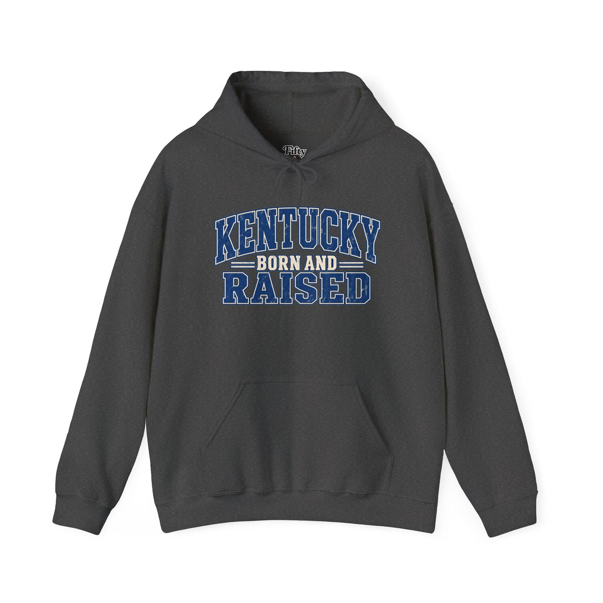 Kentucky Born and Raised Bluegrass Unisex Hoodie Graphic