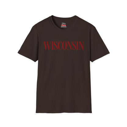 The Wisconsin Collection Unisex Softstyle T Shirt State Name Graphic Tee