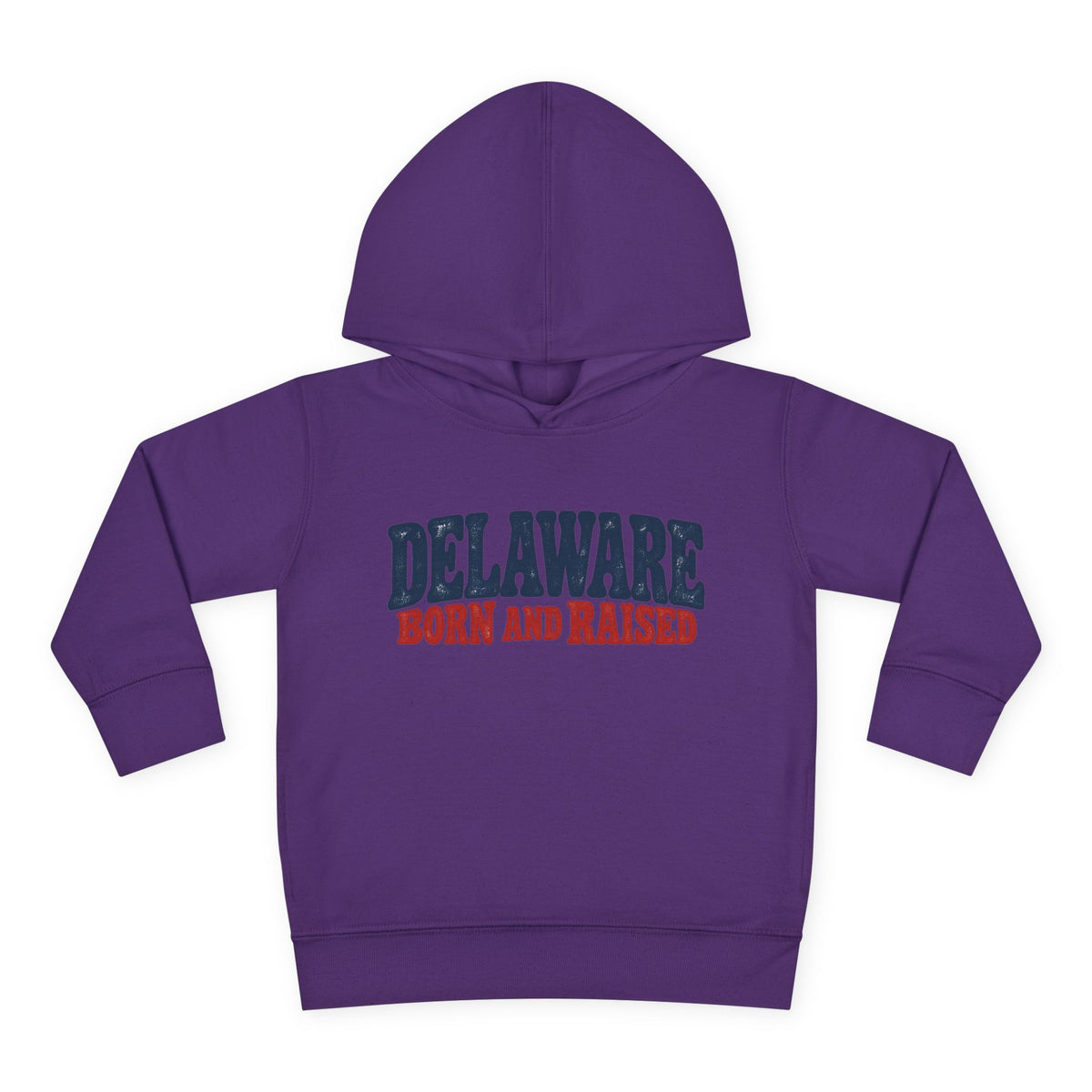 Delaware Born and Raised Retro 1970s Unisex Toddler Pullover Fleece Hoodie
