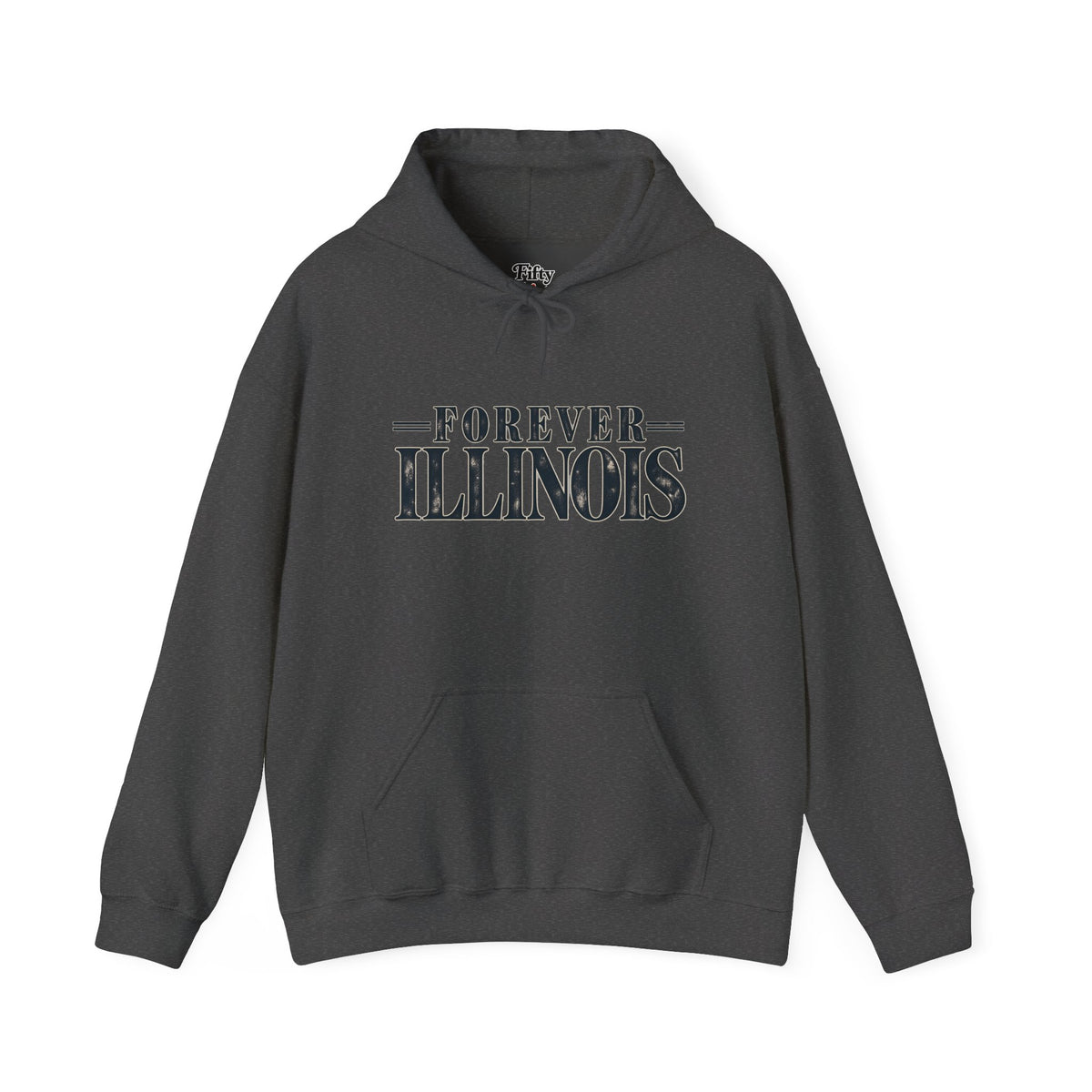 Forever Illinois Unisex Hoodie State Name Graphic