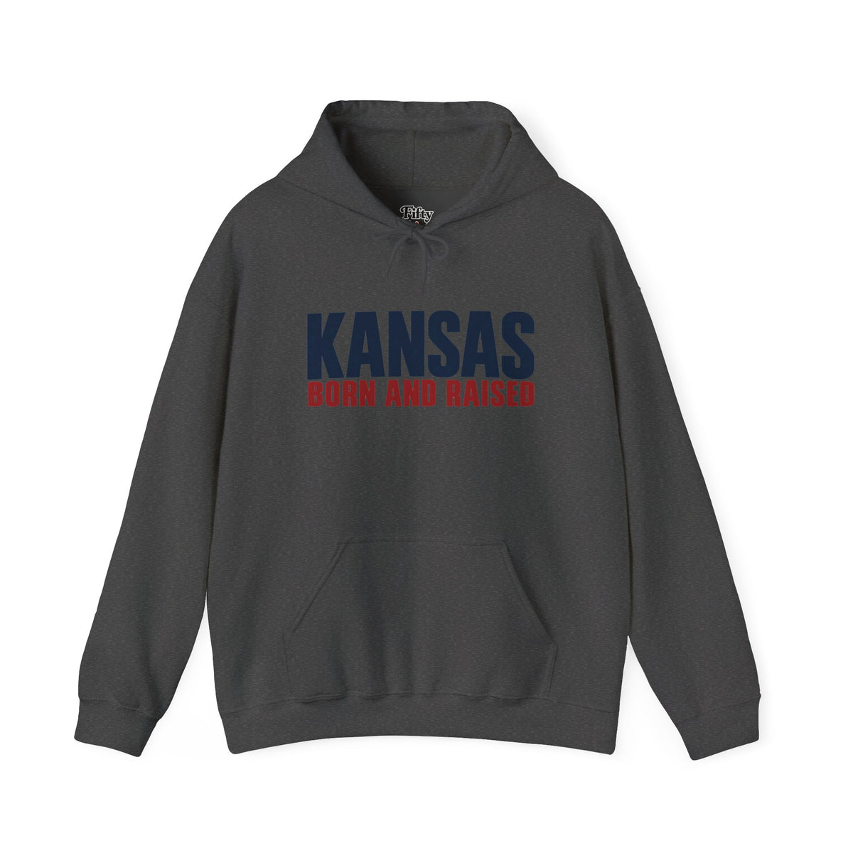 Kansas Born and Raised Modern Heritage Unisex Hoodie Graphic