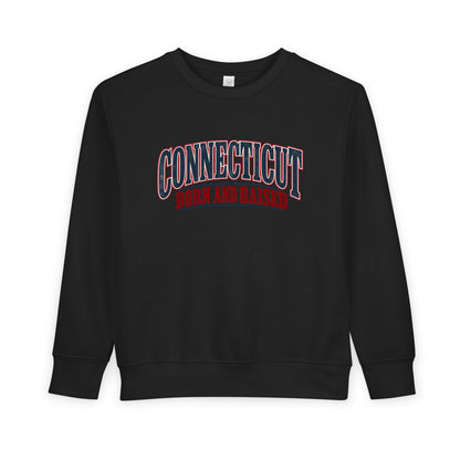 Connecticut Born and Raised Classic Souvenir Unisex Toddler Sweatshirt
