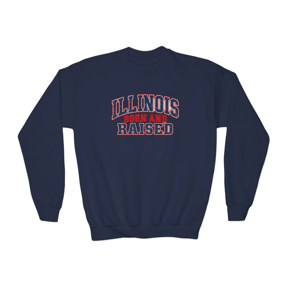 Illinois Born and Raised Vintage Collegiate Unisex Youth Crewneck Sweatshirt Graphic