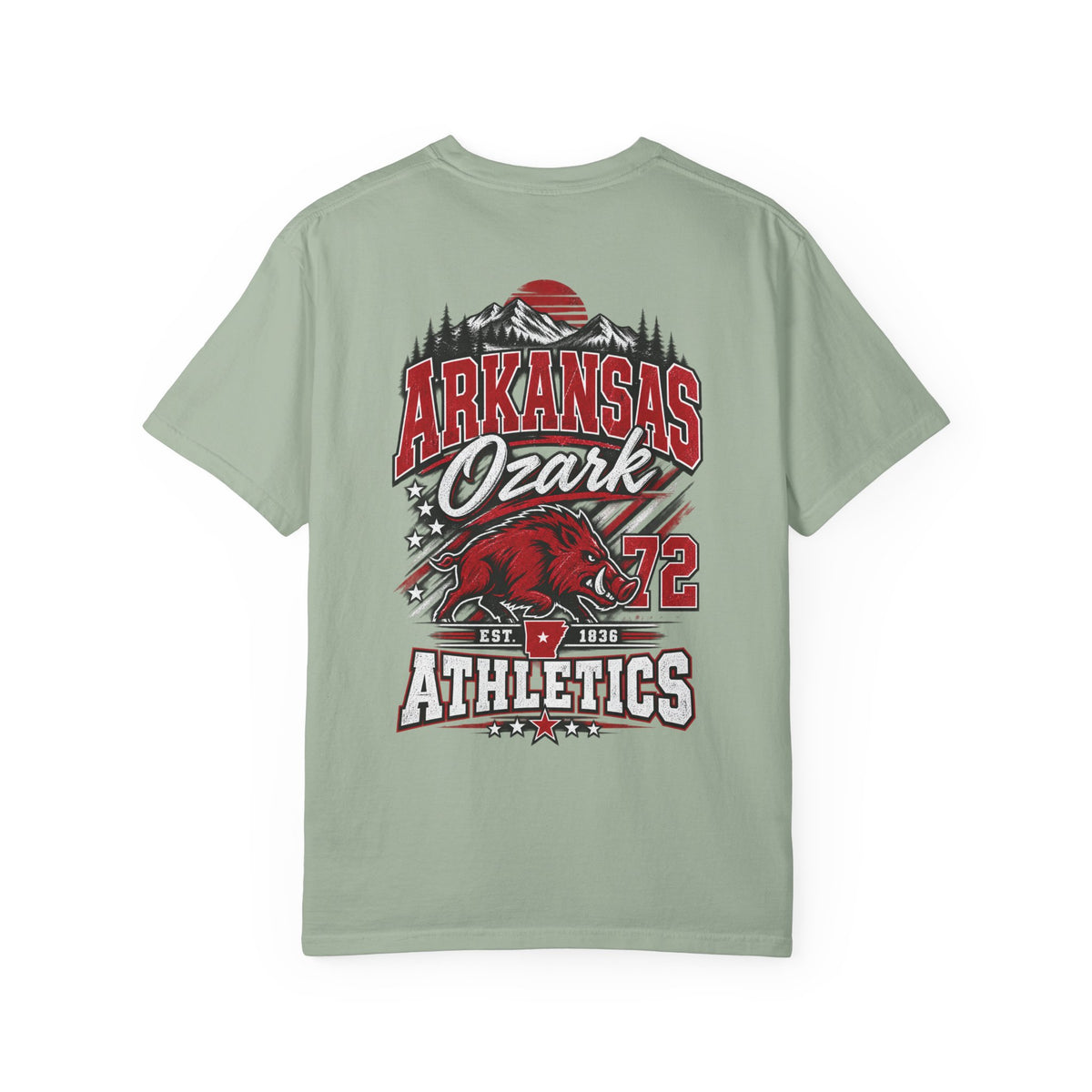Arkansas Ozark Athletics Unisex Comfort Color 1717 Streetwear Graphic Tee