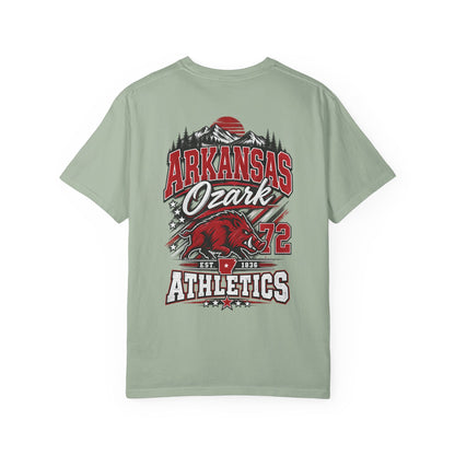 Arkansas Ozark Athletics Unisex Comfort Color 1717 Streetwear Graphic Tee