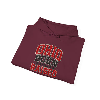 Ohio Born And Raised Unisex Hoodie State Name Graphic