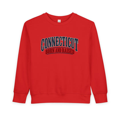 Connecticut Born and Raised Classic Souvenir Unisex Toddler Sweatshirt