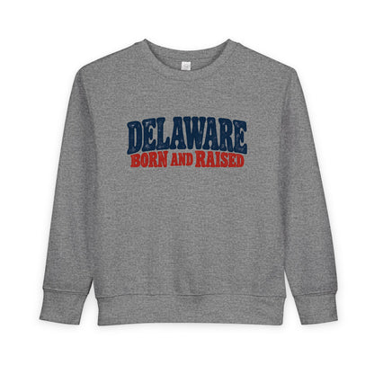 Delaware Born and Raised Retro 1970s Unisex Toddler Sweatshirt