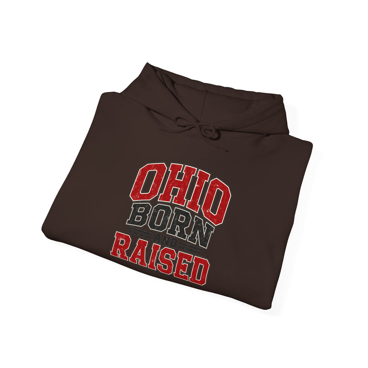 Ohio Born And Raised Unisex Hoodie State Name Graphic