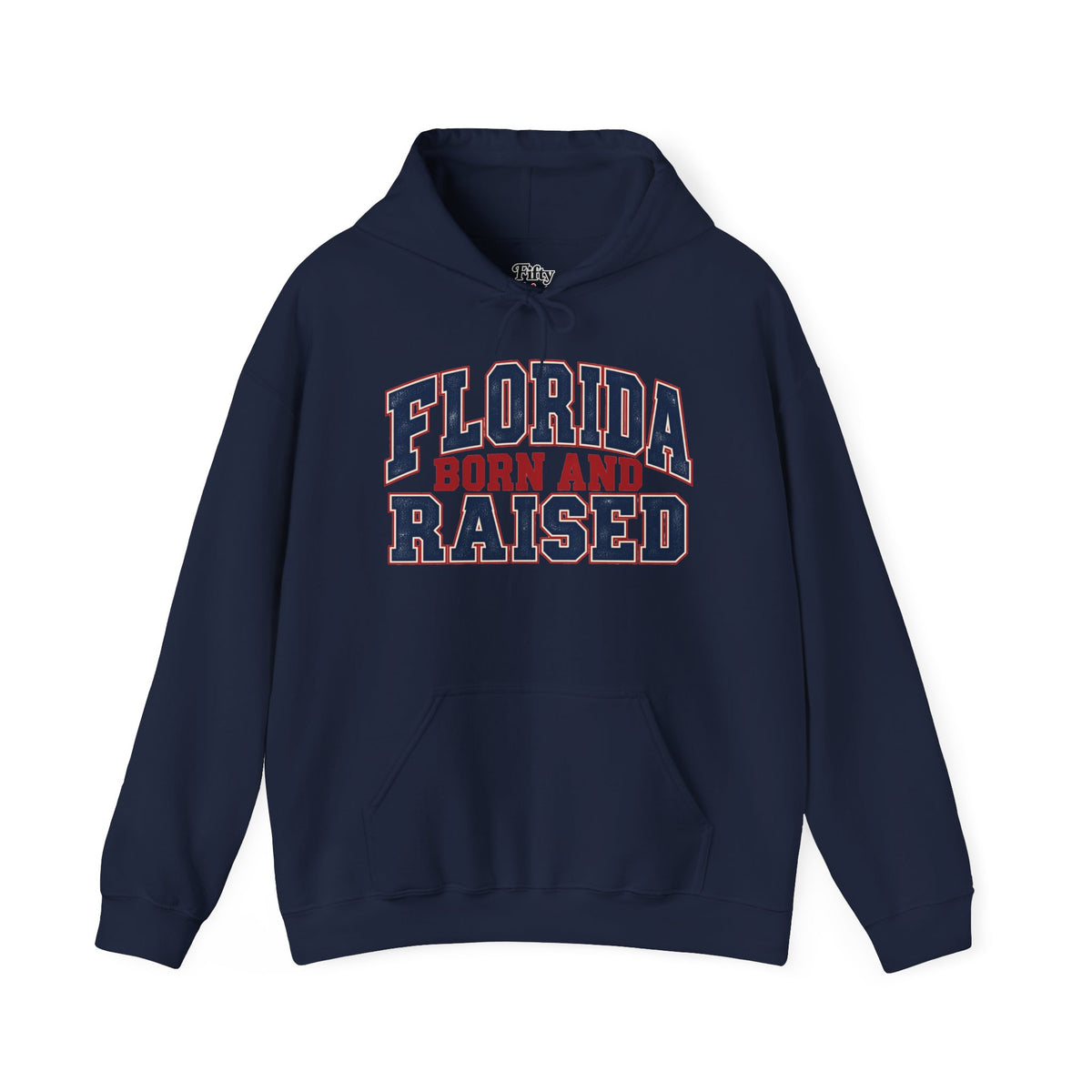 Florida Born and Raised Unisex Hoodie State Name Graphic