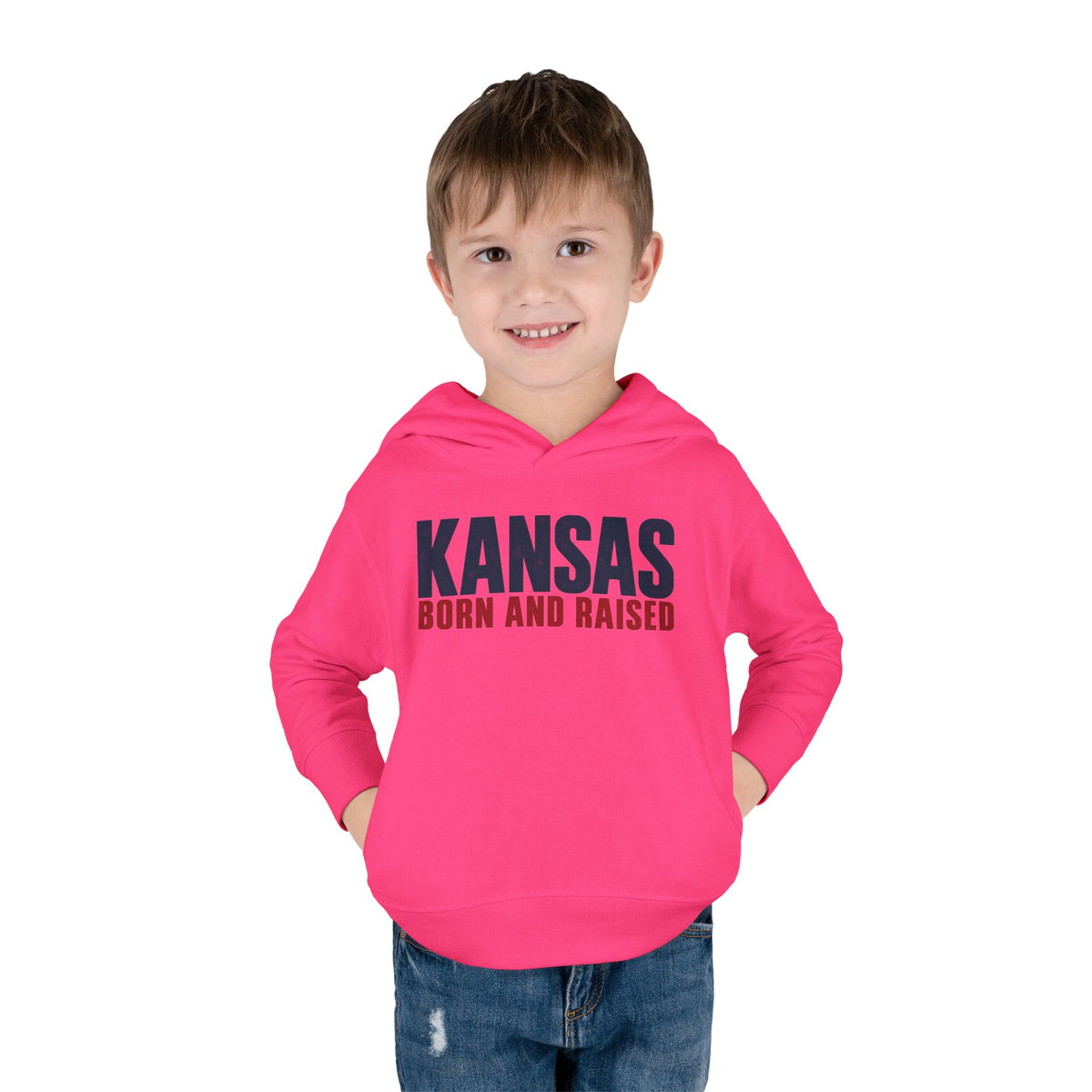 Kansas Born and Raised Modern Heritage Unisex Toddler Pullover Fleece Hoodie