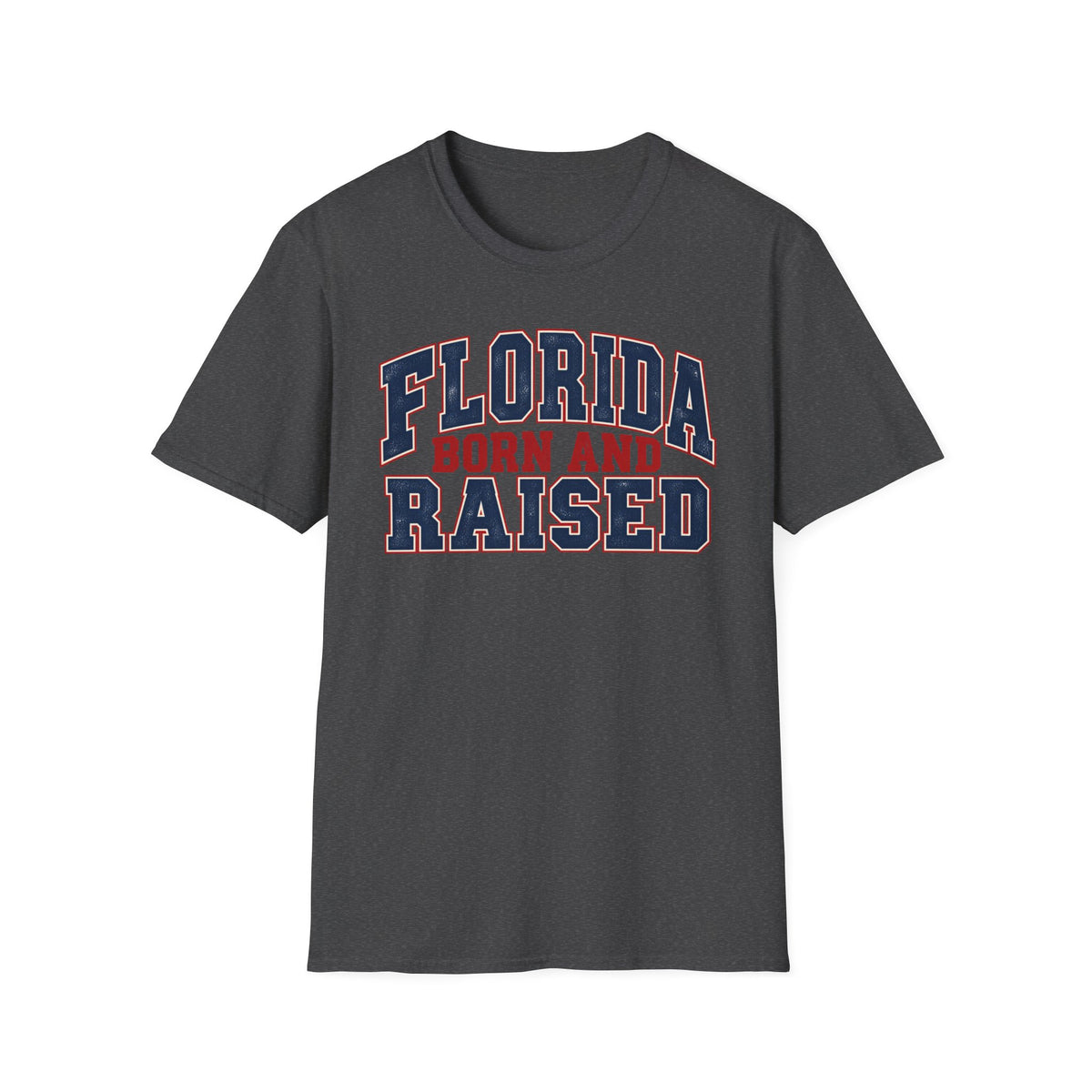 Florida Born and Raised Unisex Softstyle T Shirt State Name Graphic Tee