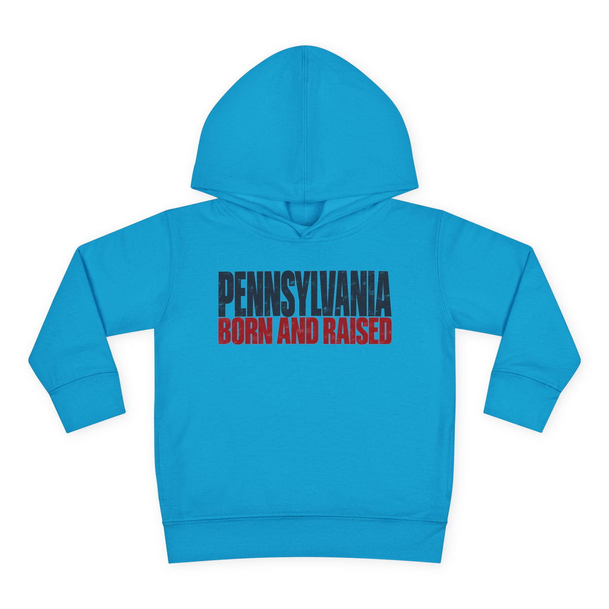 Pennsylvania Born and Raised Northeast Streetwear Unisex Toddler Pullover Fleece Hoodie