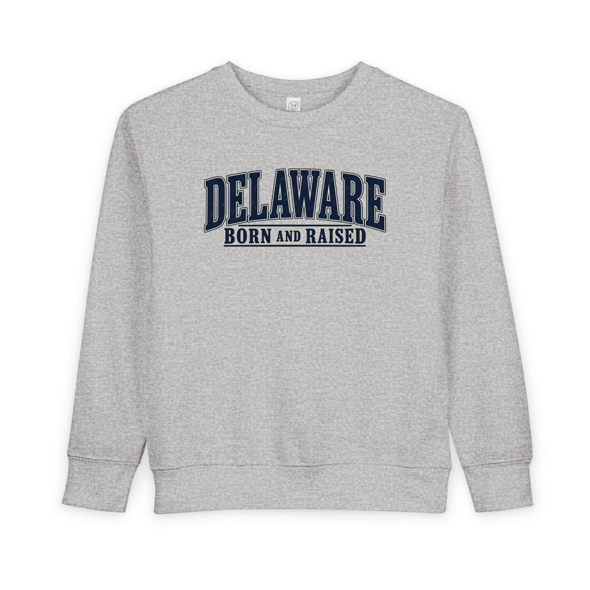 Delaware Born and Raised Luxury Vintage Unisex Toddler Sweatshirt