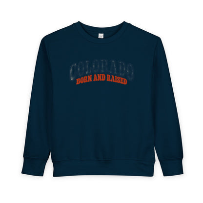 Colorado Born and Raised Retro 1970s Unisex Toddler Sweatshirt