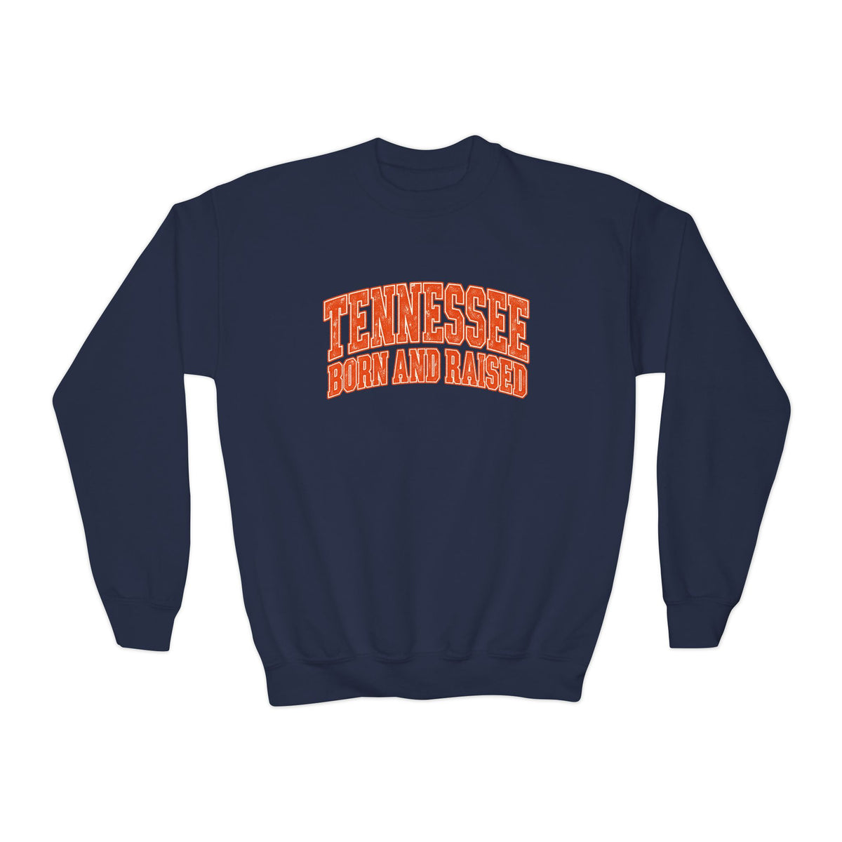 Tennessee Born and Raised Southern Collegiate Unisex Youth Crewneck Sweatshirt Graphic