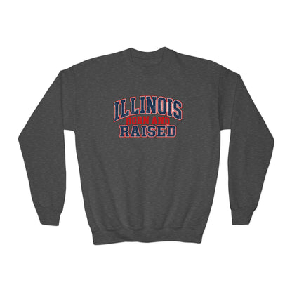 Illinois Born and Raised Vintage Collegiate Unisex Youth Crewneck Sweatshirt Graphic