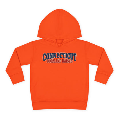 Connecticut Born and Raised 1970s Americana Unisex Toddler Pullover Fleece Hoodie