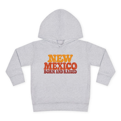 New Mexico Born and Raised 1970s Retro Unisex Toddler Pullover Fleece Hoodie