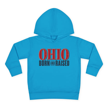 Ohio Born and Raised Premium Heritage Unisex Toddler Pullover Fleece Hoodie