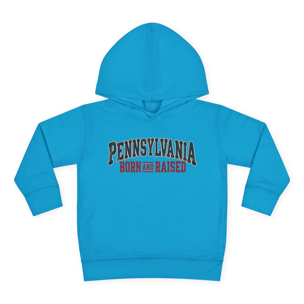 Pennsylvania Born and Raised Classic Souvenir Unisex Toddler Pullover Fleece Hoodie