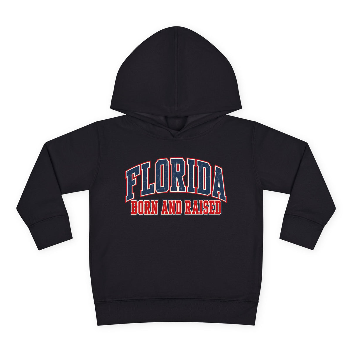 Florida Born and Raised Vintage Collegiate Unisex Toddler Pullover Fleece Hoodie