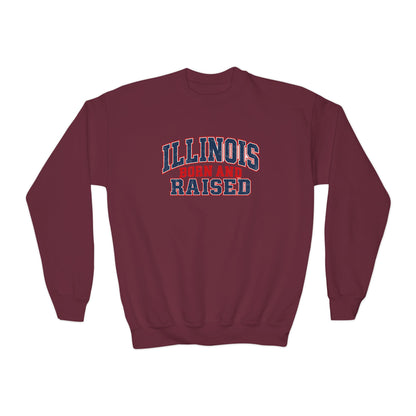 Illinois Born and Raised Vintage Collegiate Unisex Youth Crewneck Sweatshirt Graphic