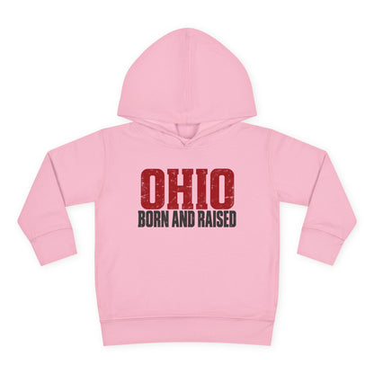 Ohio Born and Raised Minimal Heritage Unisex Toddler Pullover Fleece Hoodie