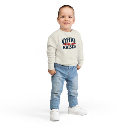 Ohio Born and Raised Vintage Souvenir Unisex Toddler Sweatshirt