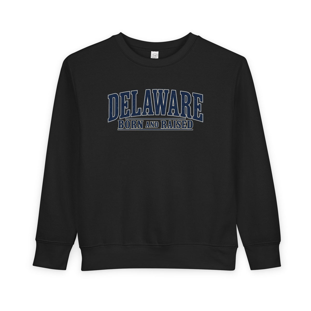Delaware Born and Raised Luxury Vintage Unisex Toddler Sweatshirt