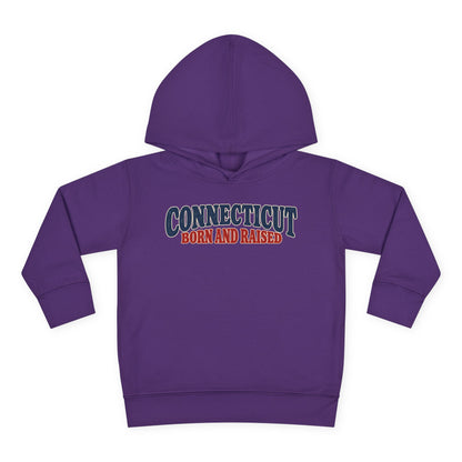 Connecticut Born and Raised 1970s Americana Unisex Toddler Pullover Fleece Hoodie