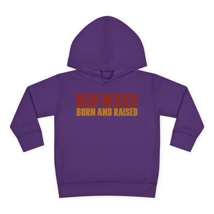 New Mexico Born and Raised Minimal Vintage Unisex Toddler Pullover Fleece Hoodie