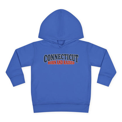 Connecticut Born and Raised 1970s Americana Unisex Toddler Pullover Fleece Hoodie