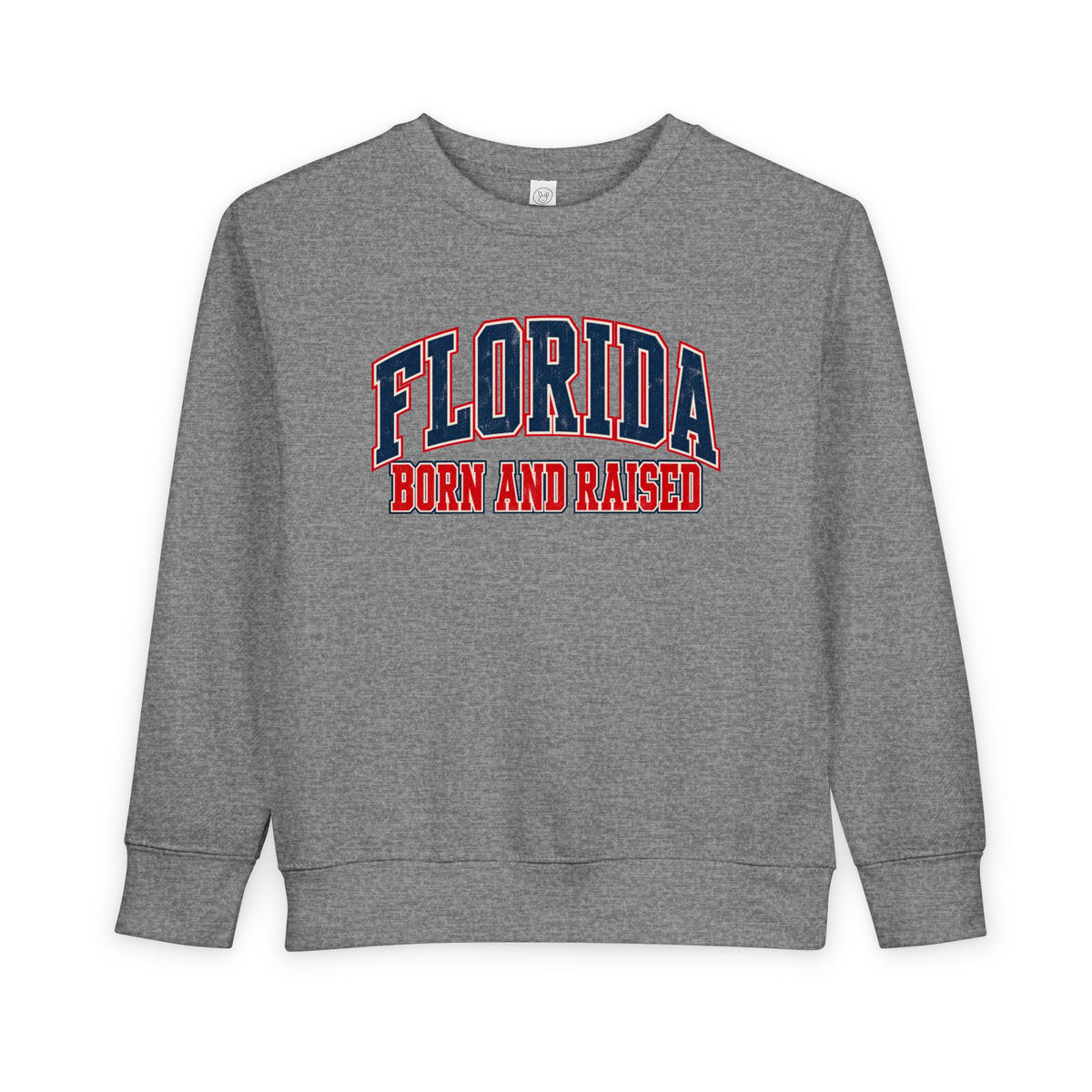 Florida Born and Raised Vintage Collegiate Unisex Toddler Sweatshirt
