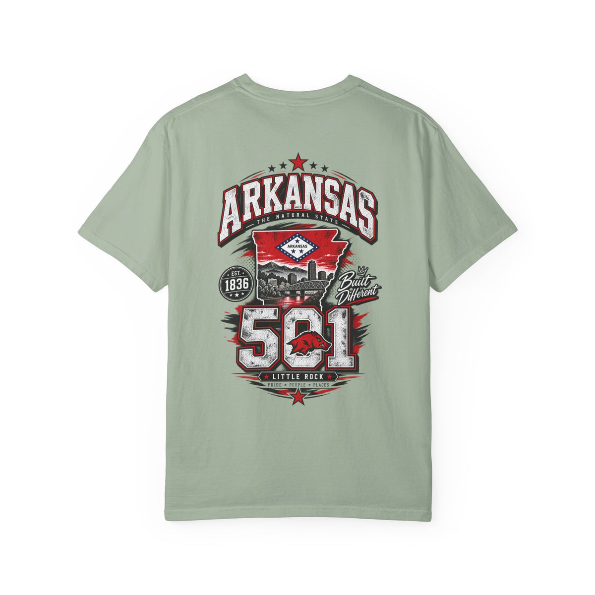 Arkansas 501 Unisex Comfort Color 1717 Streetwear Graphic Tee
