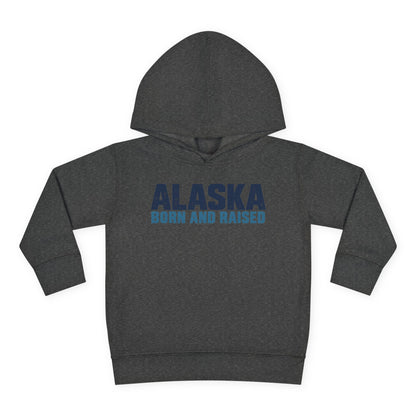 Alaska Born and Raised Modern Streetwear Unisex Toddler Pullover Fleece Hoodie