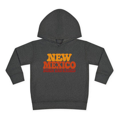 New Mexico Born and Raised 1970s Retro Unisex Toddler Pullover Fleece Hoodie