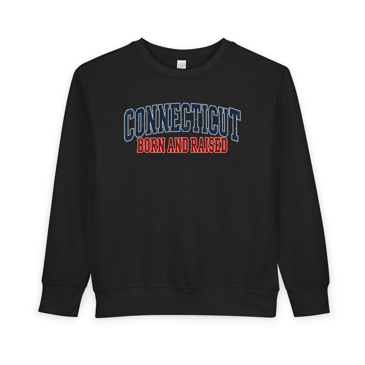 Connecticut Born and Raised Retro Collegiate Unisex Toddler Sweatshirt