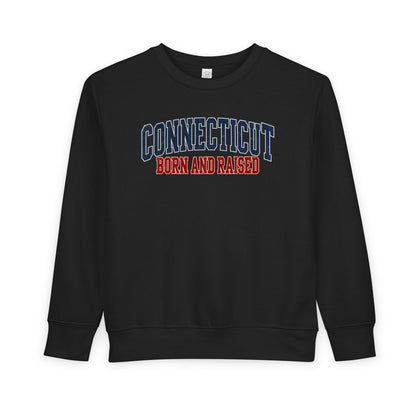 Connecticut Born and Raised Retro Collegiate Unisex Toddler Sweatshirt