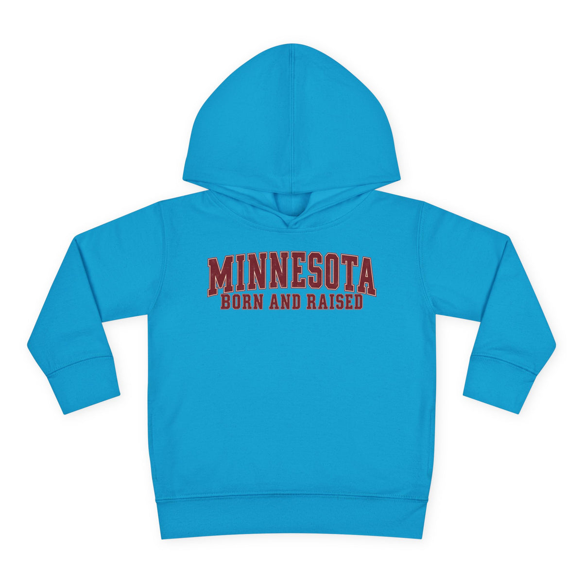 Minnesota Born and Raised Vintage Collegiate Unisex Toddler Pullover Fleece Hoodie