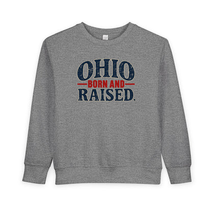 Ohio Born and Raised Vintage Souvenir Unisex Toddler Sweatshirt