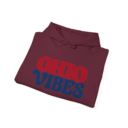Ohio Vibes Unisex Hoodie State Name Graphic