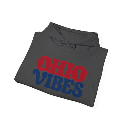 Ohio Vibes Unisex Hoodie State Name Graphic