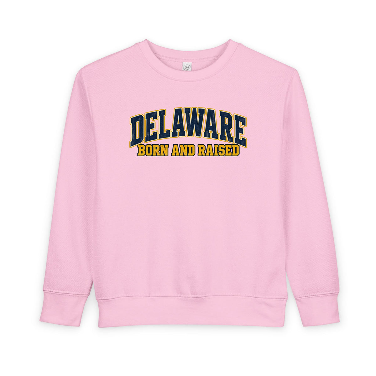 Delaware Born and Raised Old-School Athletic Unisex Toddler Sweatshirt