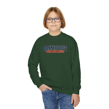Connecticut Born and Raised 1970s Americana Unisex Youth Crewneck Sweatshirt