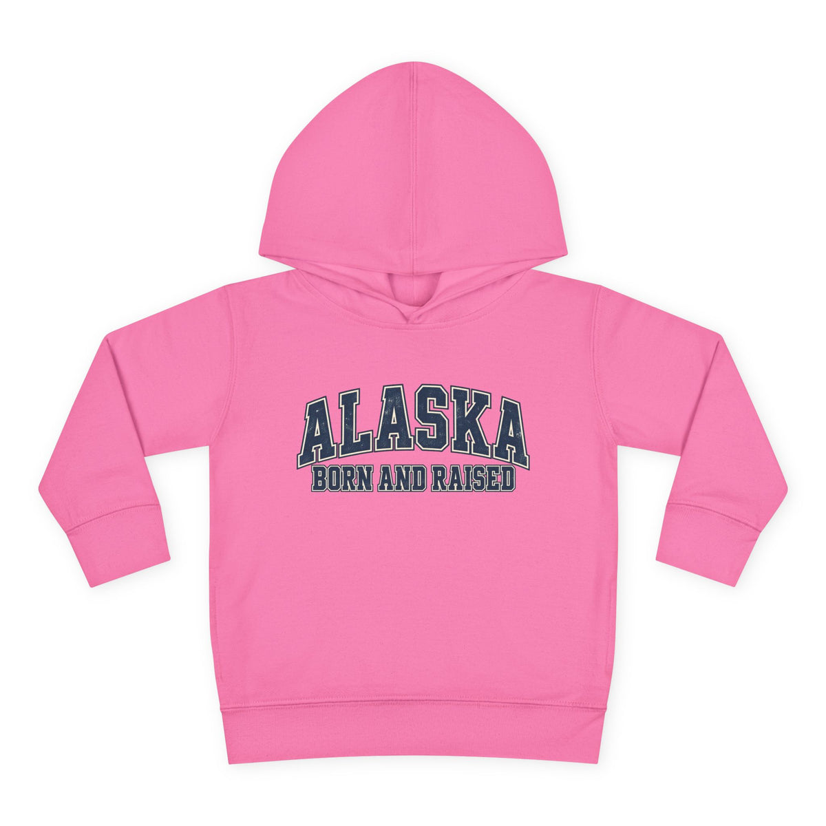 Alaska Born and Raised Classic Collegiate Unisex Toddler Pullover Fleece Hoodie