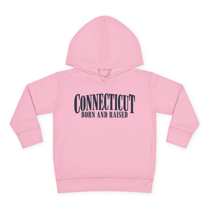 Connecticut Born and Raised Luxury Heritage Unisex Toddler Pullover Fleece Hoodie