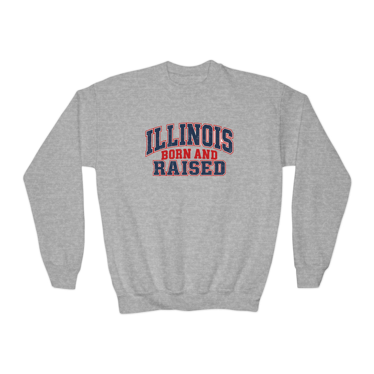 Illinois Born and Raised Vintage Collegiate Unisex Youth Crewneck Sweatshirt Graphic