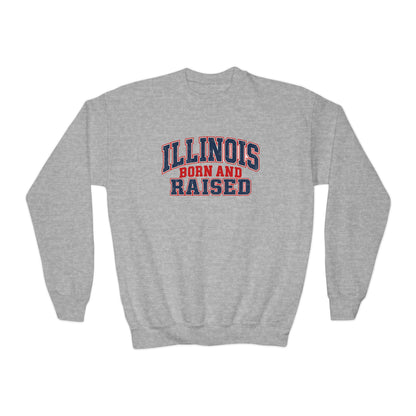 Illinois Born and Raised Vintage Collegiate Unisex Youth Crewneck Sweatshirt Graphic