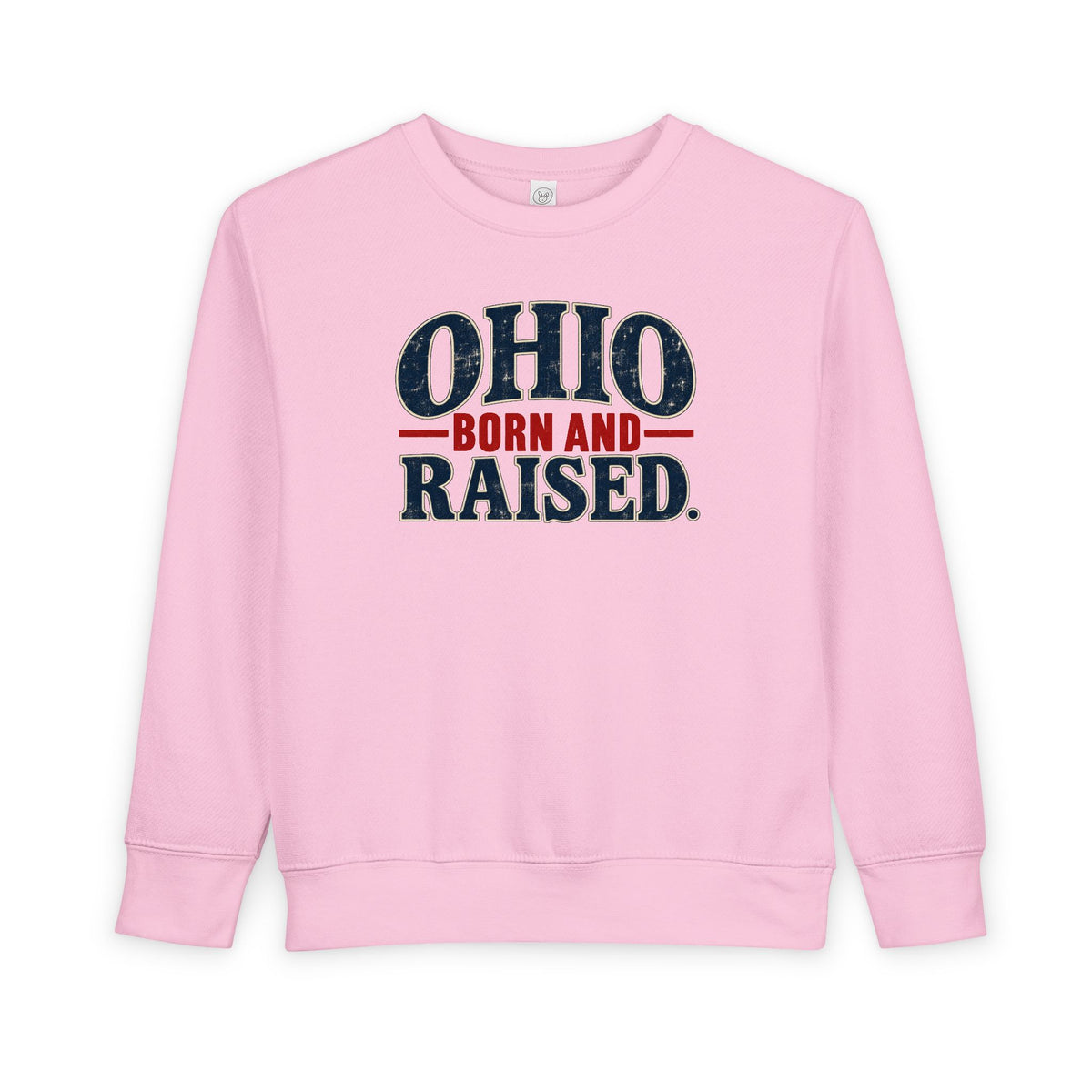 Ohio Born and Raised Vintage Souvenir Unisex Toddler Sweatshirt